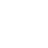 Flying dragon