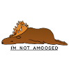 Im not Amoosed