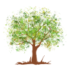Arbre vert d'été