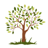 beautiful green tree