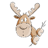 Drôle d’élan I élan i cerf