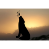Brotdose Wolf