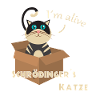 Schrödinger s katze