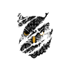 Owl - Eule