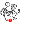karate shotokan tiger kanji