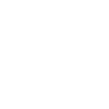Fancy Buffalo Tshirt
