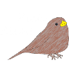 "Pick dich" Vogel