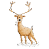 Deer deer hunting hunter gift