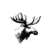 Spirit Animal Mosses