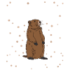 Crazy Groundhog Lady Happy Groundhogs Day
