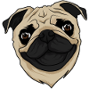 Pug Face-Pugs-hund ejer-hund-sød