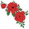 roses