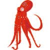 Funny octopus