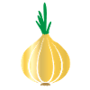 onion