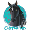 Ostwind Pferd Porträt