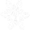 Flocon de neige Patinage