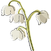 lily of the valley