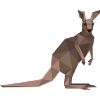 Kangaroo origamy / polygon