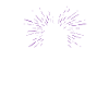 unicycle