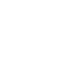 Skull skull with crown