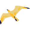 Seagull