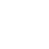 BALLET EVOLUTION