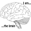 I am the brain