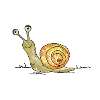 Escargot drôle