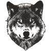 Wolf Face
