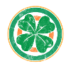 Shamrock Ireland Retro