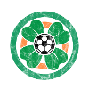 Ireland football shamrock