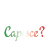 Capisce? | Italian Pride