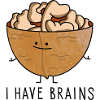 Funny clever walnut