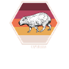 T-shirt Capybara