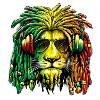 Lion rasta