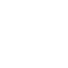 roller coaster