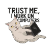 Katze mit Computer
