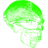 Green Acid Skull