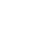 fancyneedle Logo
