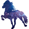 Icelandic Horse Space1
