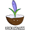 Kokosnuss mit Krokus