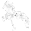 Islandpferd Marmor white