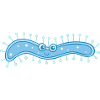 MICROBIOLOGISTE: Bactérie douce