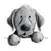 Heureux chien Black Labrador Retriever