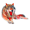 wolf