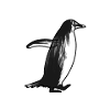 Penguin Penguin (gentoo)