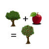 Plant + apple = apple tree