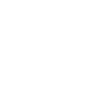 lawyer