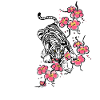 hvid tiger kirsebærblomst kirsebærblomst hanami