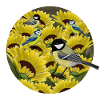Mésange à oiseaux